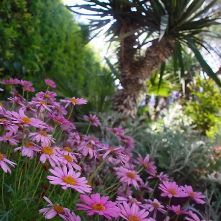 Amfora Bed & Breakfast 3*