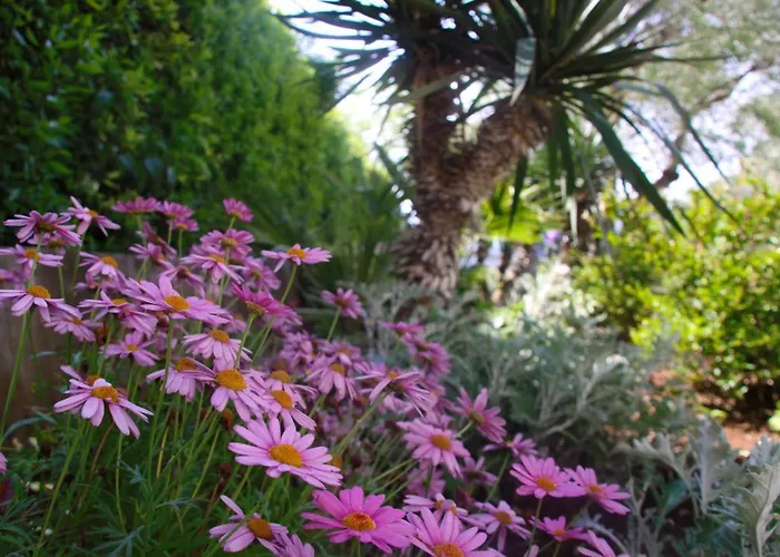 Amfora ベッド・アンド・ブレックファスト 3*